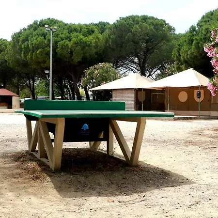 Campsite Mobilhome Lufloval Lumineux Avec Une Terrasse Sureleve Semi-couverte - 3 Sigean